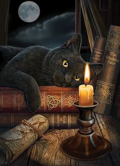 a cat laying on top of a pile of books next to a lit candle