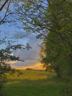 the sun is setting behind some trees in the field with grass and flowers on it