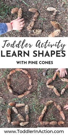 toddler's activity learn shapes with pine cones