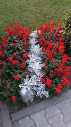 red and white flowers in the middle of a flower bed next to a fire hydrant