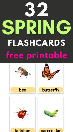 spring flashcards free Spring Vocabulary Words, Spring Vocabulary, Bee Printables, Bee Free, Spring Printables