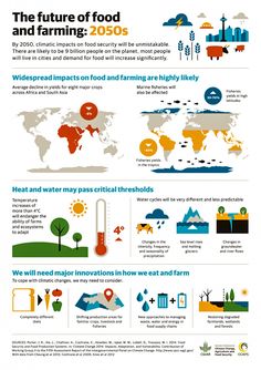 the future of food and farming info sheet