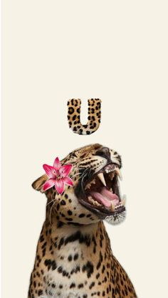 a leopard with its mouth open and flowers in it's teeth, next to the letter u