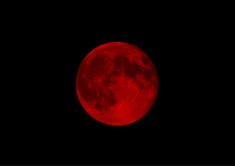 the full red moon is seen in the dark sky