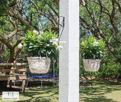 two hanging planters filled with white flowers on top of a wooden bench next to trees