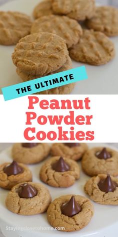 the ultimate peanut butter powder cookies are made with only 3 ingredients and ready to be eaten