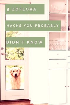 a dog is looking out the window in front of a white bookcase with words that read 5 zoflora hacks you probably didn't know