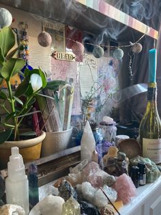 a table topped with lots of different types of rocks and bottles filled with liquid next to a potted plant