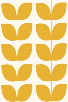 yellow leaves are arranged in rows on a white background, with one green leaf at the center