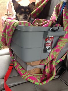 a small dog sitting in the back seat of a car with a blanket on it