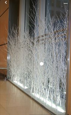 a cat sitting on the floor in front of a window with white branches behind it