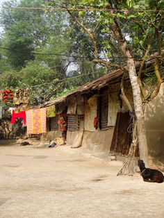 a black cat laying on the ground in front of a small hut with clothes hanging from it's roof