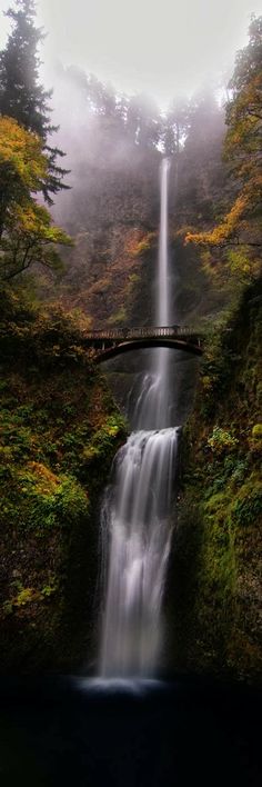 a waterfall with a bridge over it in the middle of some trees and foggy sky