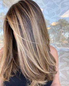 Light Hair On Top Dark On Bottom Brown, Shoulder Haircuts For Women Straight, Should Length Hairstyle Women, Dark Hair To Light Balayage, Natural Light Blonde Highlights, Bayalage Blonde Ash, Hilights On Brunettes, Alex Hall Hair, Straight Highlighted Hair