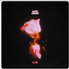 the album cover for love again is shown with pink flowers in front of a black background