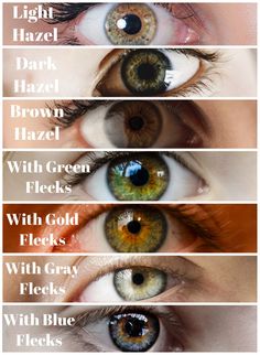 Hazel Eyes Hair Color, Dark Hazel Eyes, Different Types Of Eyes, Hair Colour For Green Eyes, Unnatural Hair Color, Hazel Green Eyes, Eye Color Chart, Neutral Skin Tone, Ash Brown Hair Color