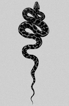 a black and white drawing of a snake