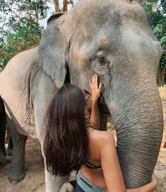 a woman touching the trunk of an elephant