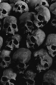 black and white photograph of many human skulls