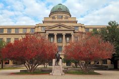 a statue in front of a building with red trees around it and a green dome on top