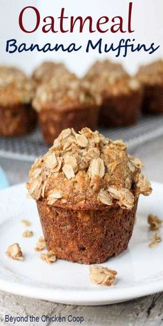 a close up of a muffin on a plate with oatmeal in the background