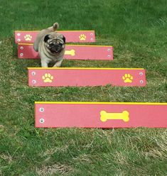 a small pug is walking up some pink dog ramps with paw prints on them