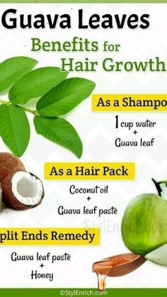 Guava Leaves For Hair, Benefits Of Guava, Hair Fall Problem, Guava Leaves, Hair Pack, Hair Remedies For Growth, Hair Remedies, For Hair Growth