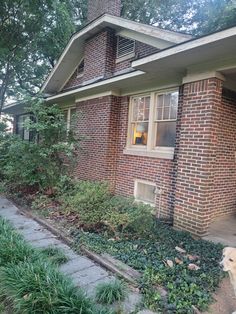 a dog is standing in front of a brick house with plants growing on the sidewalk