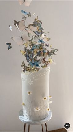 a white cake with butterflies flying out of it