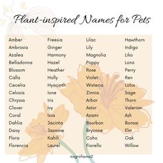 an image of flowers that are labeled in the word plant - inspired names for pets