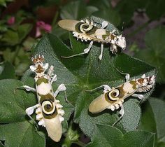 three yellow and white bugs sitting on top of green leaves