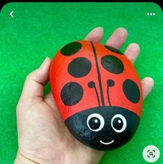 a hand holding a painted rock with a ladybug on it