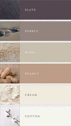 This beige color palette exudes timeless elegance with neutral tones of slate grey, pebble grey, wool beige, soft peanut, cream, and cotton white. Perfect for an elegant brand or neutral wedding, this palette offers a subtle, sophisticated aesthetic. The harmonious blend of soft, muted shades creates a calm and refined atmosphere, making it an ideal brand color palette or choice for a neutral wedding that seeks understated luxury and warmth. Oat Colour Palette, Beige Tones Colour Palettes, Brown And Beige Colour Palette, Tan Colour Pallete, Modern Luxury Color Palette, Neutral Colour Palette Branding, Wellbeing Colour Palette, Luxury Colour Palette Branding