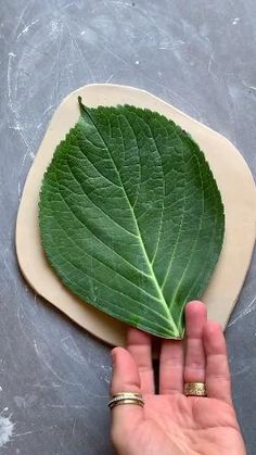 a person holding up a green leaf on top of a table