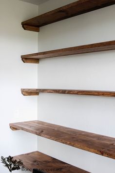 the shelves are made out of wood and have no one in them or they can be used as shelving