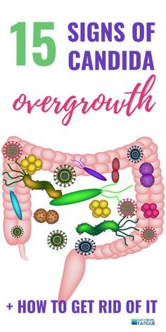 Kroniskt trötthetssyndrom | Kan en Candida-infektion bidra till din trötthet? Ta reda på hur du testar för det, eliminerar det och börjar må bättre. Dry Cough Remedies, Candida Recipes