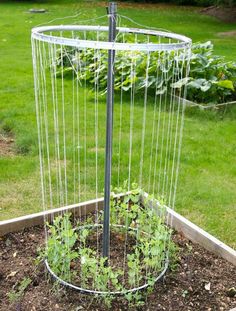 a metal planter with plants growing in it on top of a garden bed next to some grass