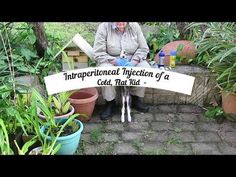 a man sitting on a bench next to potted plants with a sign that reads, inspirationalal injection of a coca - flat kit