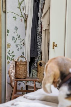 a dog laying on top of a bed next to a closet