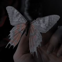 a butterfly that is sitting on someone's hand with it's wings spread