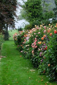 many different colored flowers line the side of a fenced in area with green grass and trees