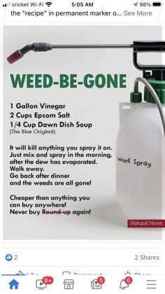 Kill Grass, Kill Weeds Naturally, Killing Weeds, Garden Landscaping Diy, Organization Binder, Weeds In Lawn, Garden Remedies, Landscaping Diy, Garden Weeds