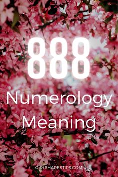 pink flowers with the words 868 numerology meaning in white letters on it