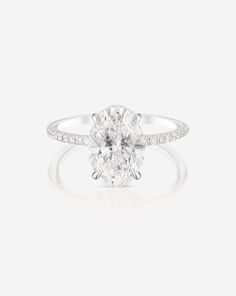 2.57 Oval in the Whisper Thin® Pavé – Ring Concierge Nature Engagement Ring, Ring Concierge, Bespoke Rings, Bespoke Engagement Ring, Bridal Engagement Rings, Pave Ring, Hidden Halo, Shop Engagement Rings, Diamond Set