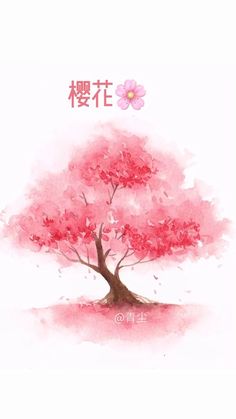 Cherry Blossom Pastel Drawing, Cherry Blossom Tutorial Drawing, Watercolour Cherry Blossom Tree, Sakura Tree Watercolor Painting, Sakura Painting Watercolour, Sakura Tree Drawing Tutorial, Sakura Flower Watercolor Painting, Water Colour Cherry Blossom, Watercolor Art Cherry Blossom