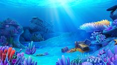 an underwater scene with corals and other marine life