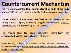 the word counter current mechanism is written in two different languages