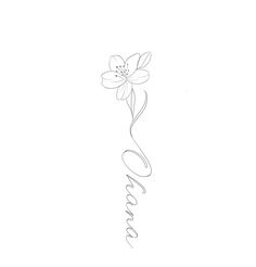 a flower that is on the side of a white wall with words written in cursive writing