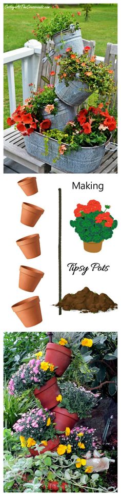 the different stages of growing flowers in pots