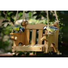 two birds sitting on a wooden bird feeder